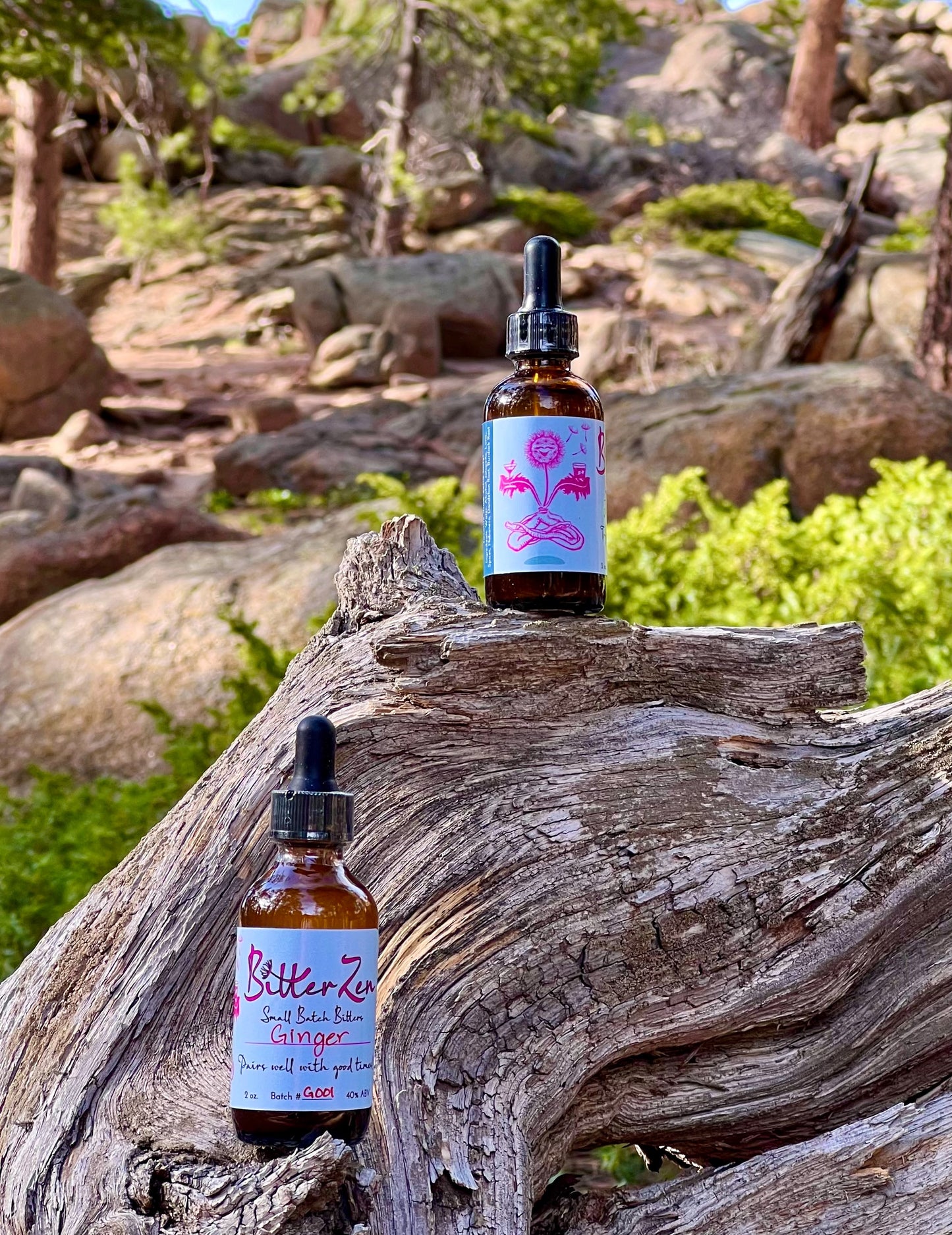 Ginger Bitters