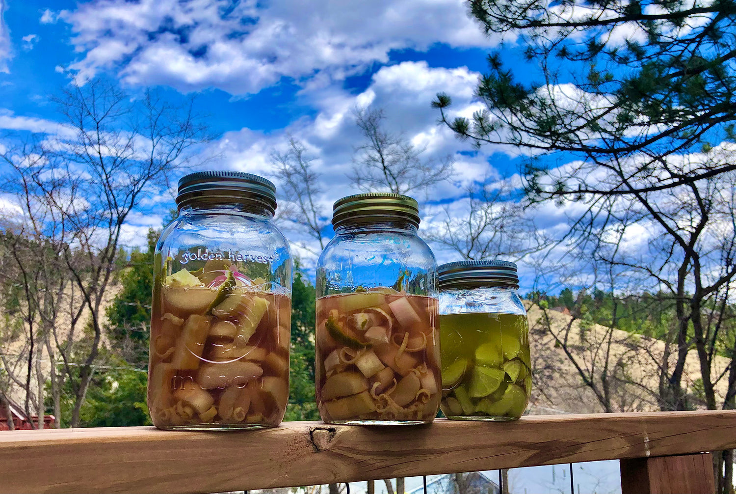 Rhubarb and Ginger bitters in the making